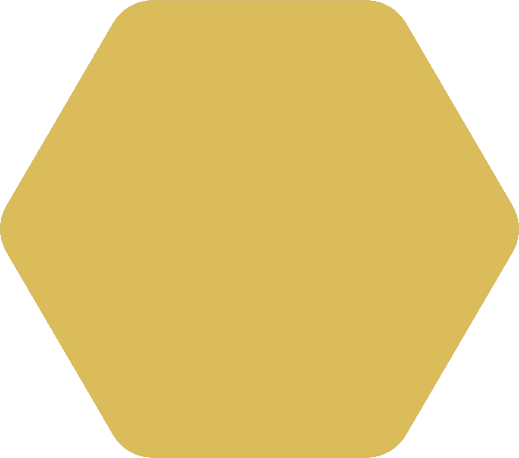 rzadki